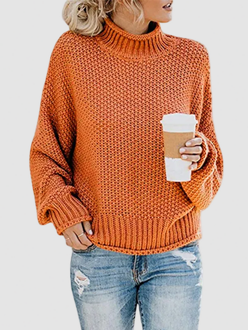 Limited time sale🔥Oversized Turtleneck Batwing Sleeve Pullover Top