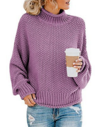 Limited time sale🔥Oversized Turtleneck Batwing Sleeve Pullover Top