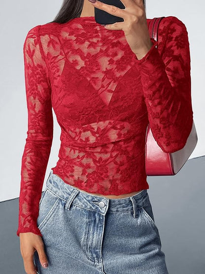 Textured Lace Mesh Long Sleeve Top
