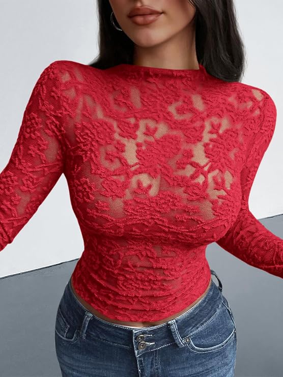 Textured Lace Mesh Long Sleeve Top