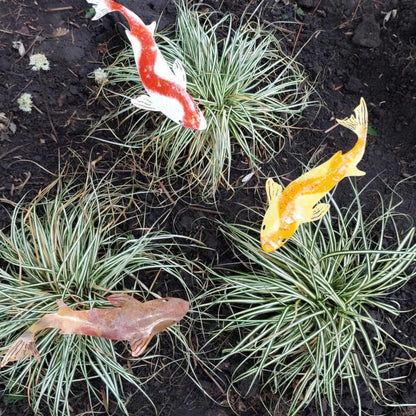 Metal Koi Garden Pile Courtyard Lawn Decor Art