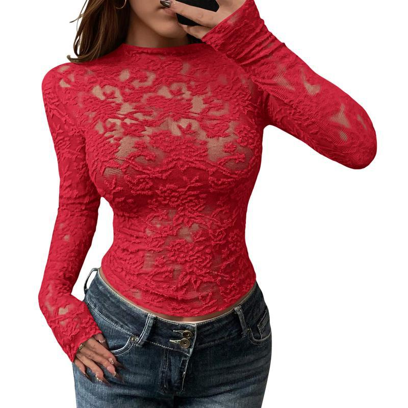 Textured Lace Mesh Long Sleeve Top